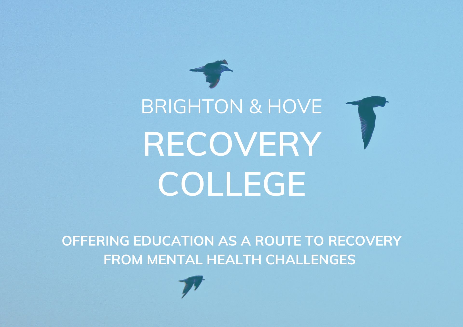 Photo of sky and three silhouted birds - text: Brighton and hove Recovery College, OFFERING EDUCATION AS A ROUTE TO RECOVERY FROM MENTAL HEALTH CHALLENGES