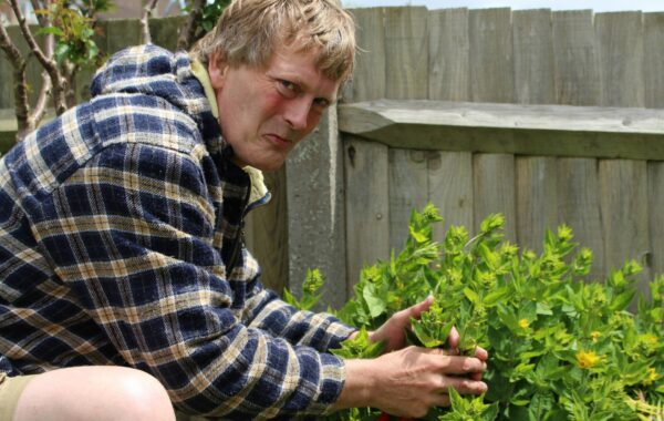 A man wearing a checked shirt is crouching by one of his shrubs in his garden