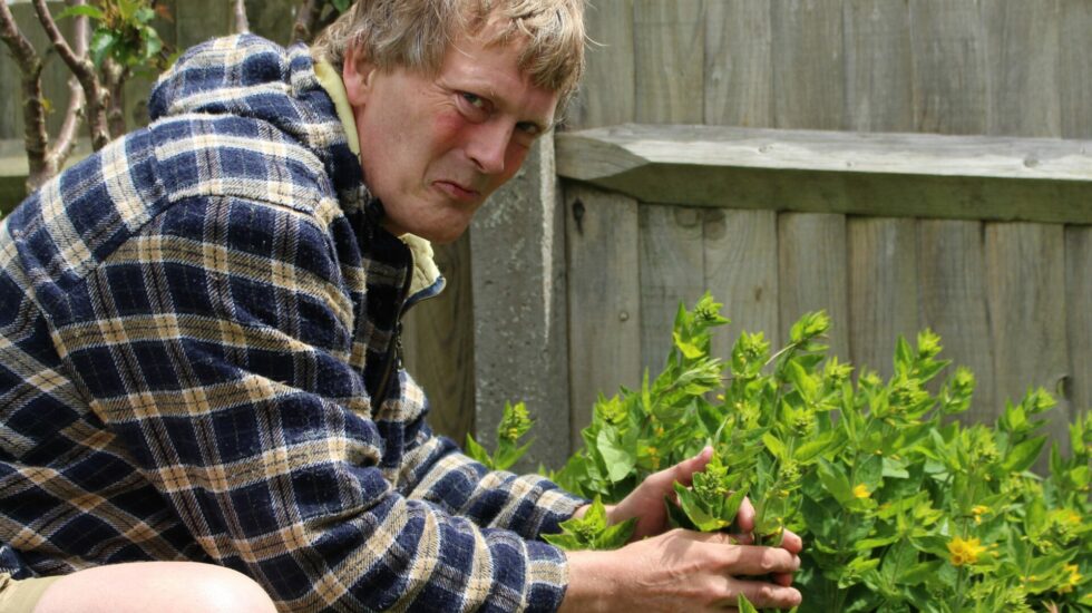 A man wearing a checked shirt is crouching by one of his shrubs in his garden