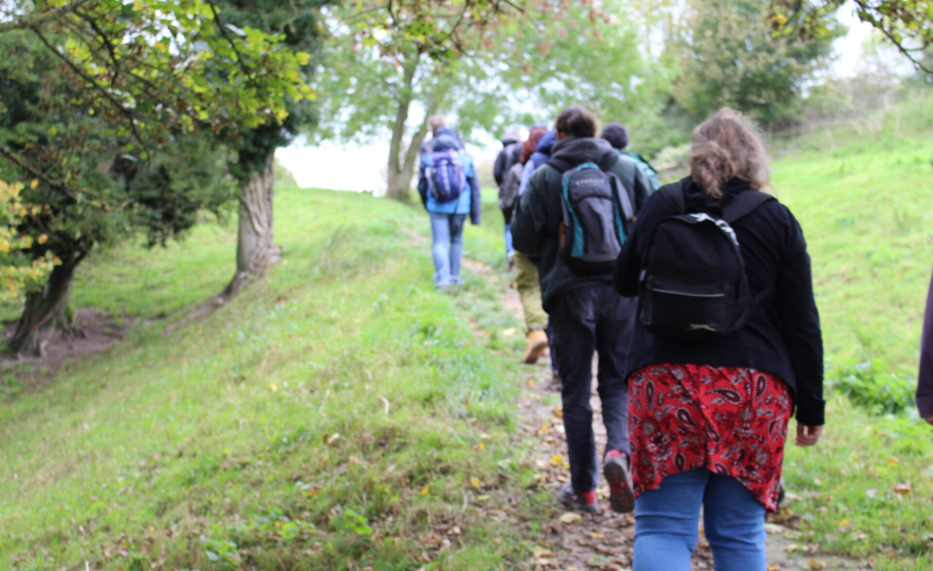 A group of people out in the nature for a wellbeing walk.